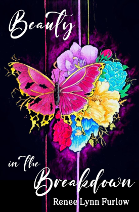 Beauty in the Breakdown cover image