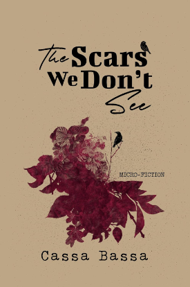 The Scars We Don't See cover image